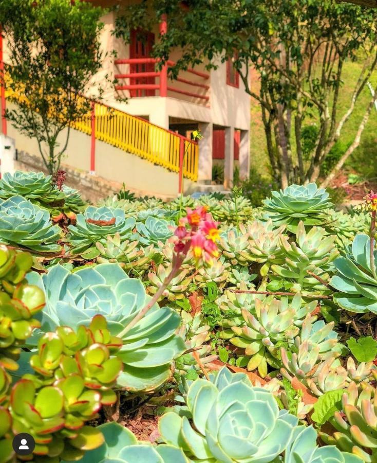 Готель Sitio Dos Palmitos - Casa Pupunha Педра-Азул Екстер'єр фото